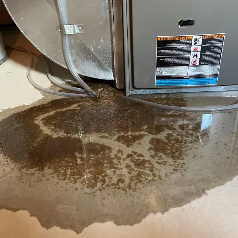 Pipe Burst and Leak Restoration in Laurel County, KY