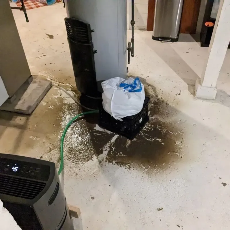 Sewage Backup Cleanup Service in Laurel County, KY